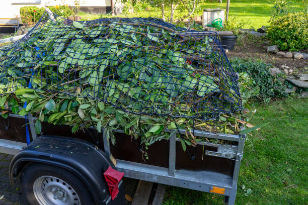 Reliable Sardis, MS Junk Removal Services Solutions